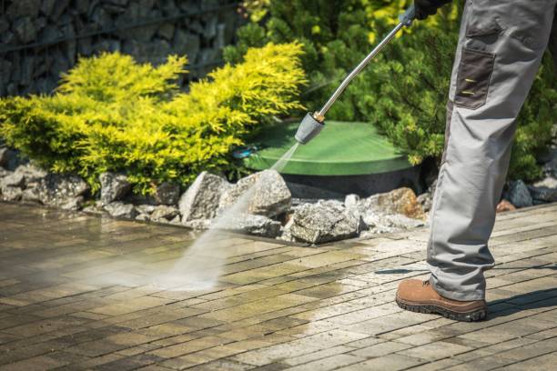 Best Sidewalk and Walkway Cleaning  in Aledo, TX